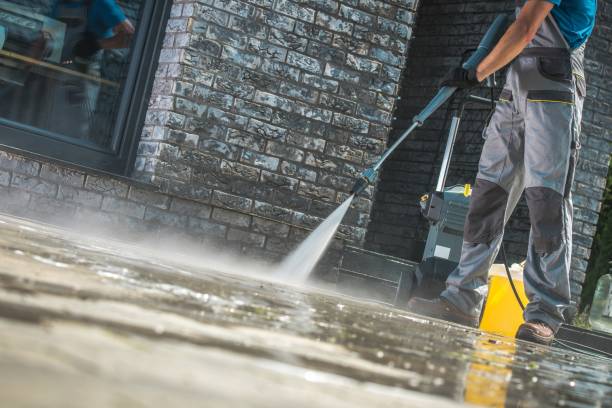 Best Animal Enclosure Cleaning  in Arnold Line, MS