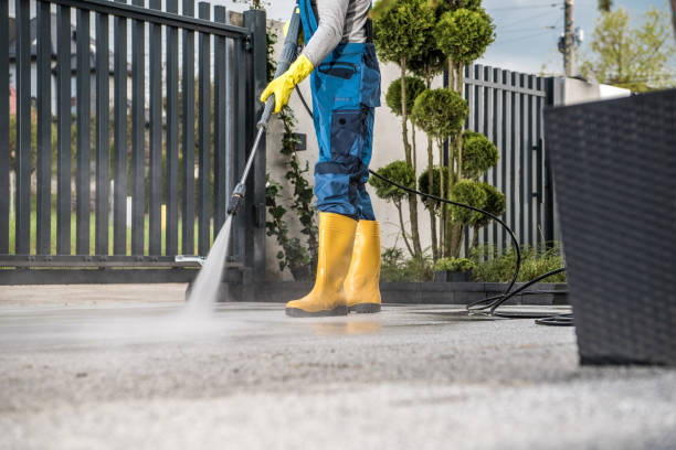 Best Patio and Deck Pressure Washing  in Arnold Line, MS