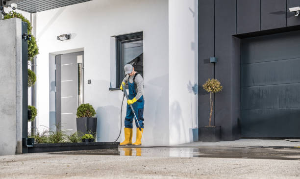 Best Gutter Cleaning  in Arnold Line, MS